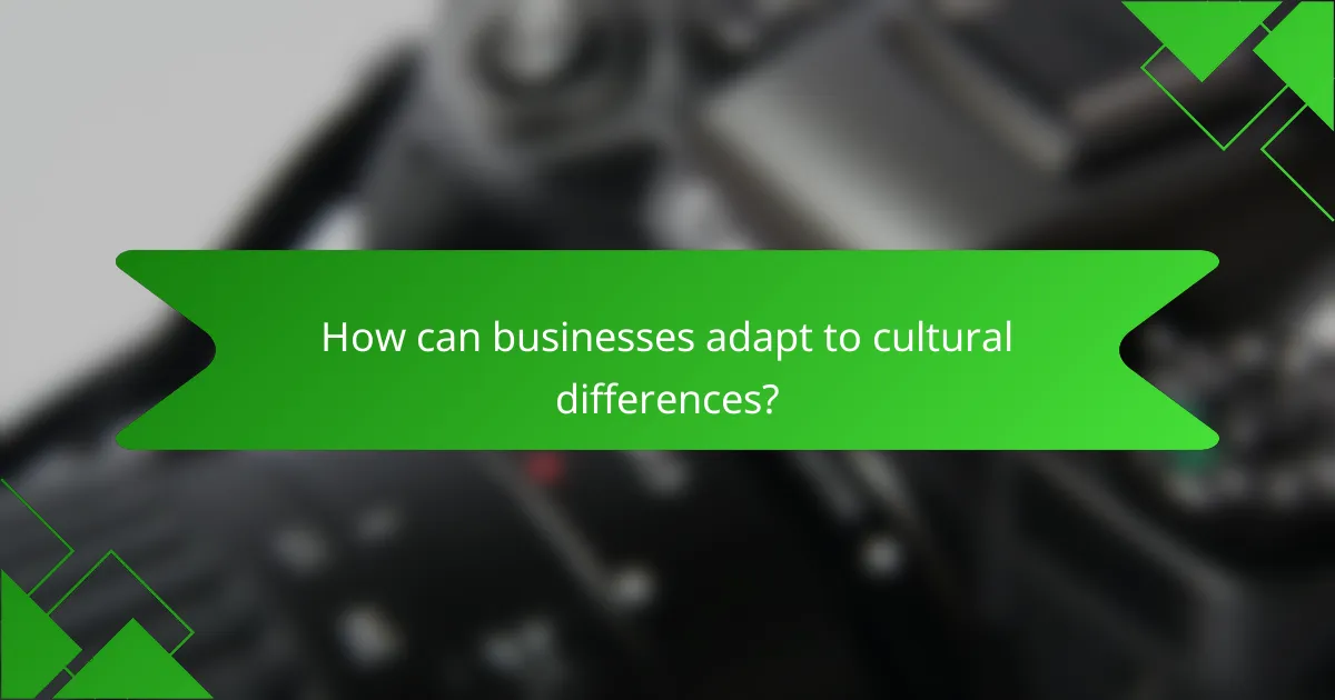 How can businesses adapt to cultural differences?