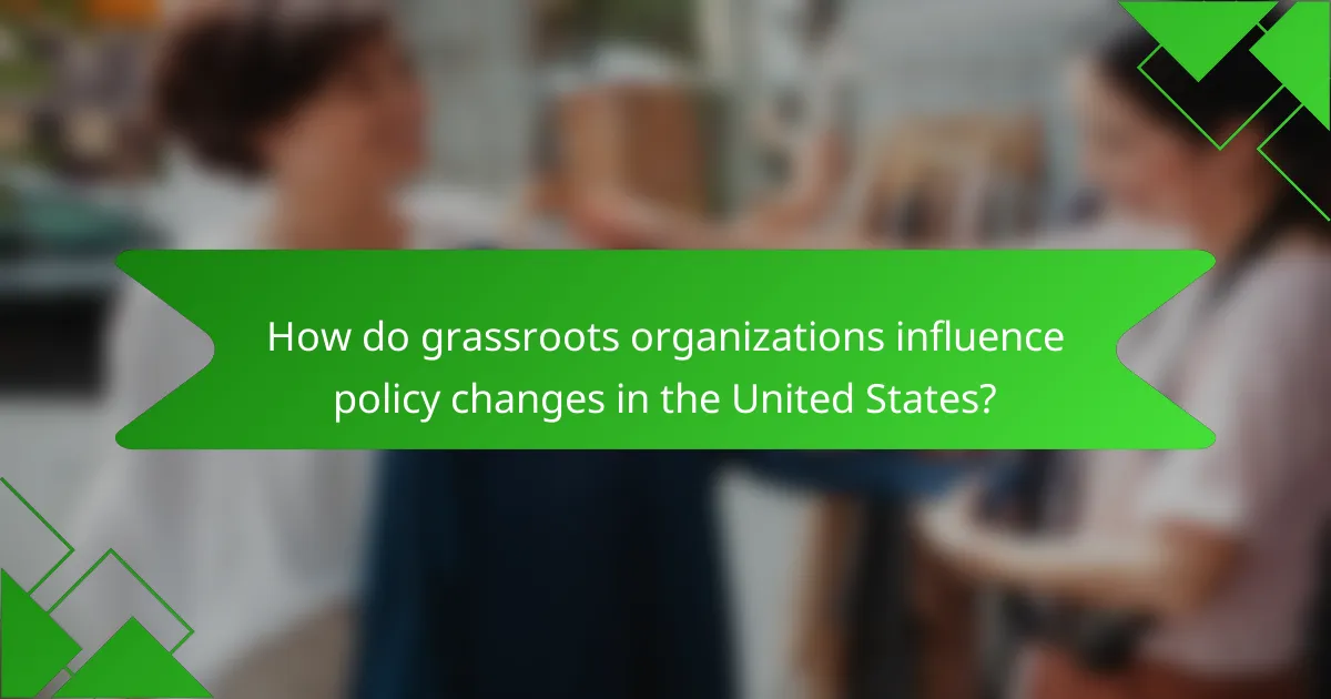 How do grassroots organizations influence policy changes in the United States?