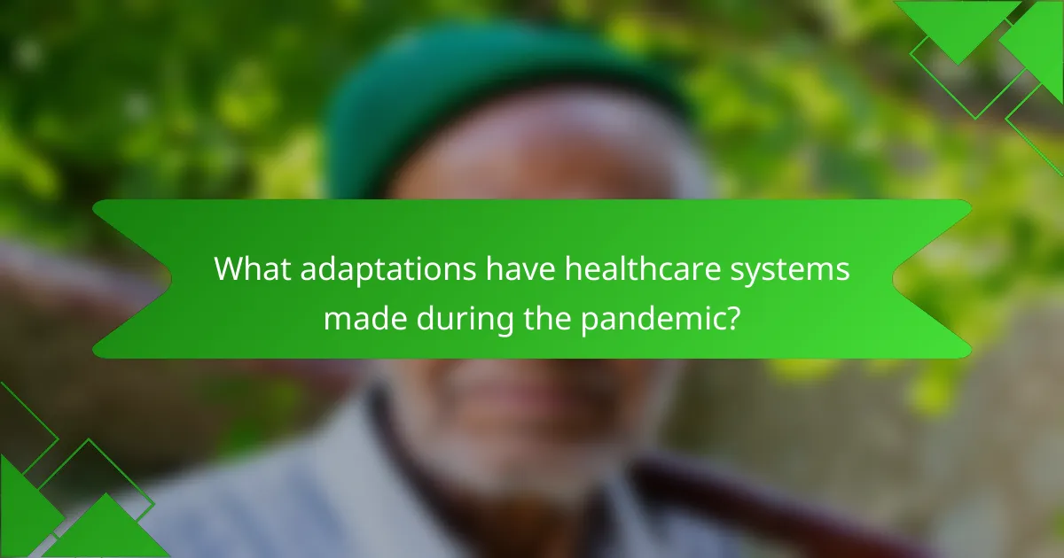 What adaptations have healthcare systems made during the pandemic?