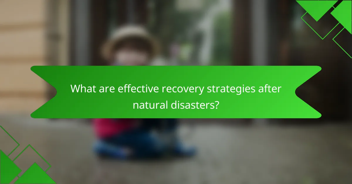 What are effective recovery strategies after natural disasters?