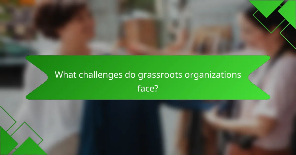 What challenges do grassroots organizations face?