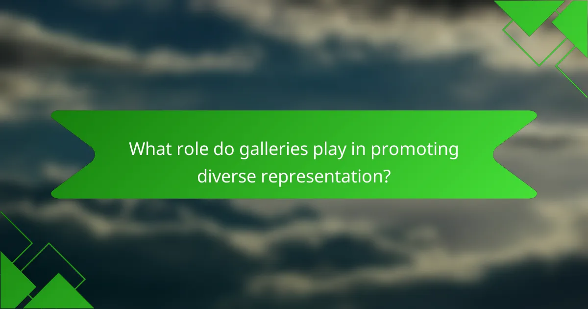 What role do galleries play in promoting diverse representation?