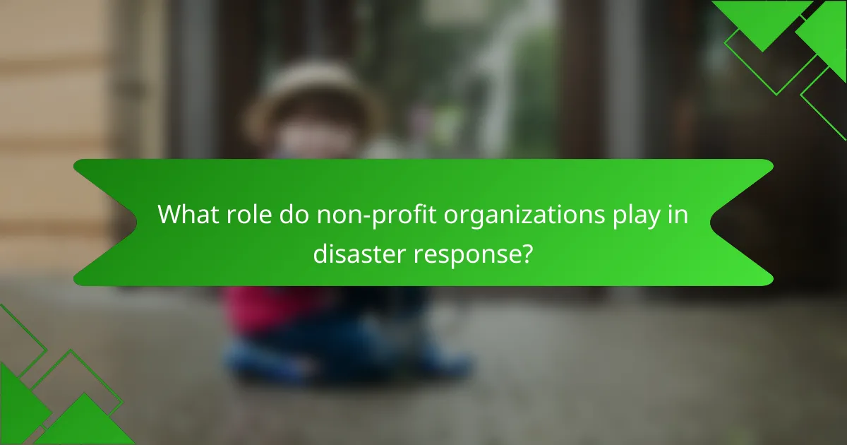 What role do non-profit organizations play in disaster response?