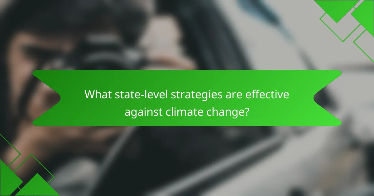 What state-level strategies are effective against climate change?