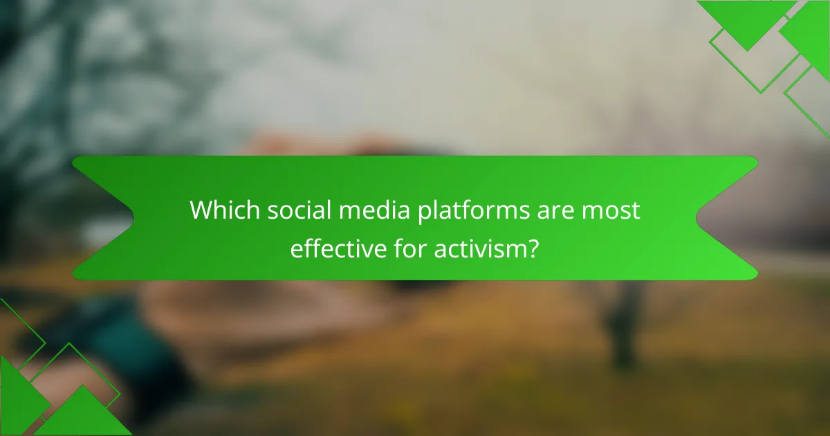 Which social media platforms are most effective for activism?